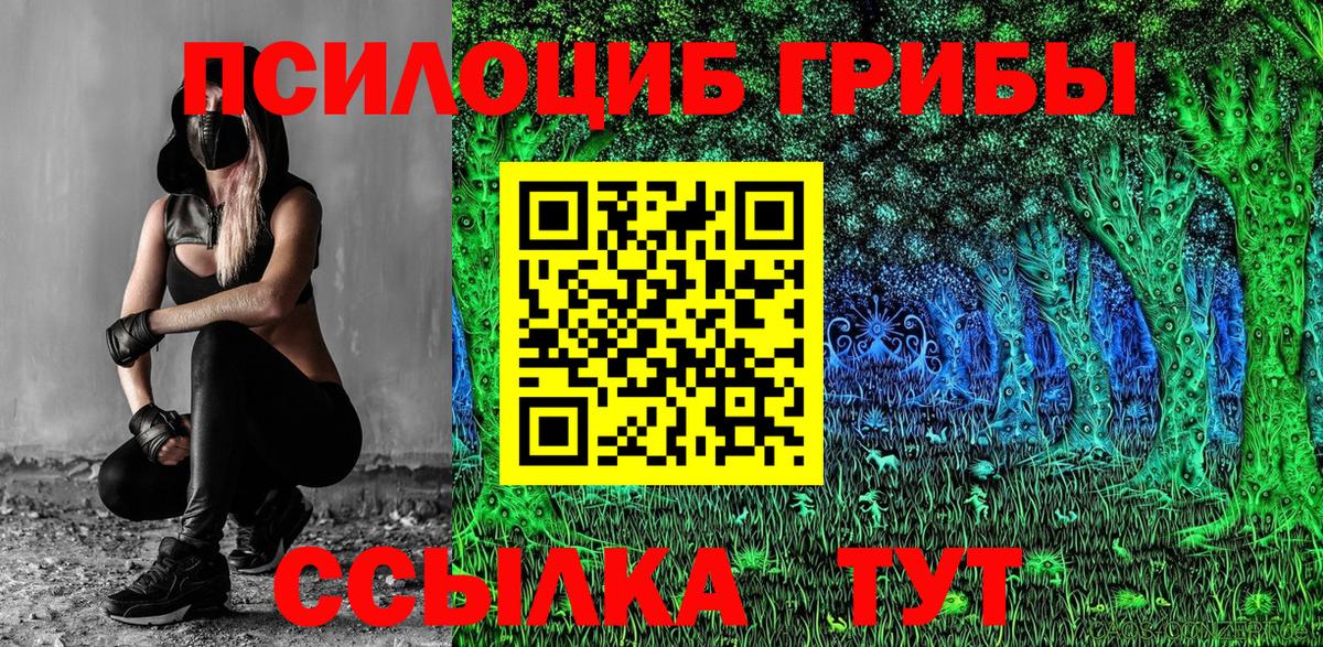 Галлюциногенные грибы GOLDEN TEACHER Новосибирск