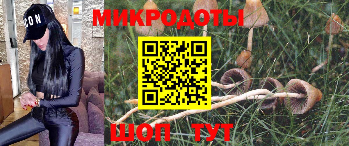 Новосибирск  Галлюциногенные грибы прущие грибы  Вход с VPN 